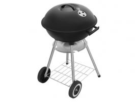 Fieldmann FZG1009 faszenes kerti grill
