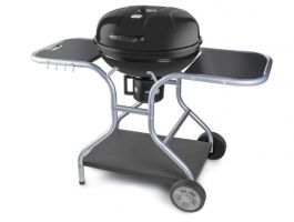 Fieldmann FZG1014 faszenes kerti grill