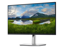 DELL Pro Plus P2425D 23,8" WQHD IPS monitor (210-BQMX)