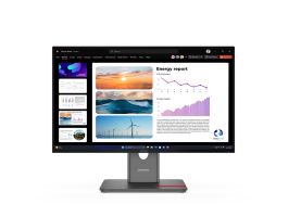 LENOVO ThinkVision P24q-40 23,8" QHD IPS Monitor (64B2GAT1EU)