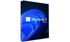 Windows 11 Pro 64Bit Hungarian 1pk DSP OEI DVD (FQC-10537)