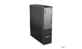 Lenovo ThinkCentre neo 55s G6 SFF PC (13G00012HX)