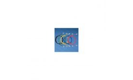 ROLINE Patch kábel ROL 21.15.1551 UTP CAT6 3m piros (21.15.1551)