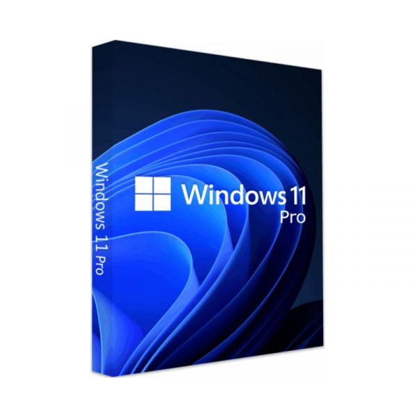 Windows 11 Pro 64Bit Hungarian 1pk DSP OEI DVD (FQC-10537)