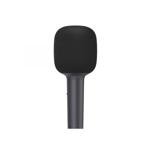 Xiaomi Karaoke Microphone (BHR6752GL)