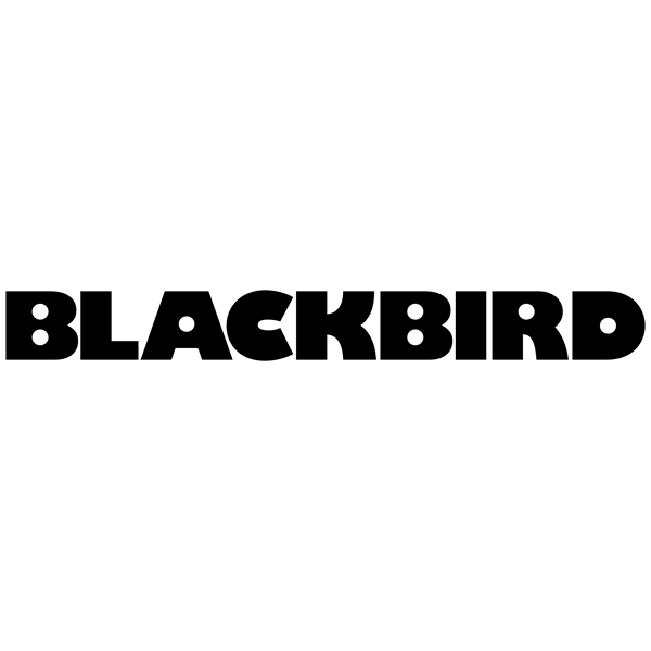 BLACKBIRD Átalakító Adapter HDMI male to DVI female, fekete (BH1635)