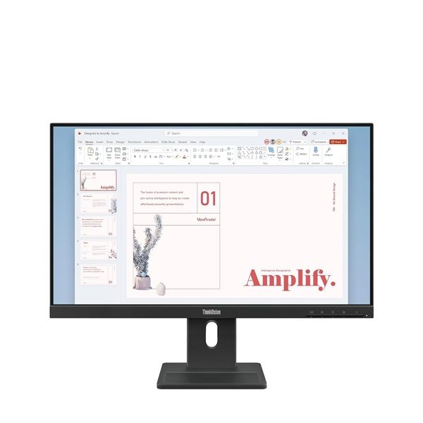 Lenovo ThinkVision E24-40 24" FHD IPS 100Hz monitor (64BAMAT1EU)